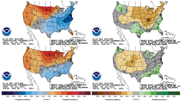 The 6-10 day outlook